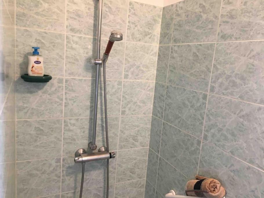 Appartement 55M2 En Beaujolais & Enedis A 15 Min Saint-Germain-Nuelles Exterior foto